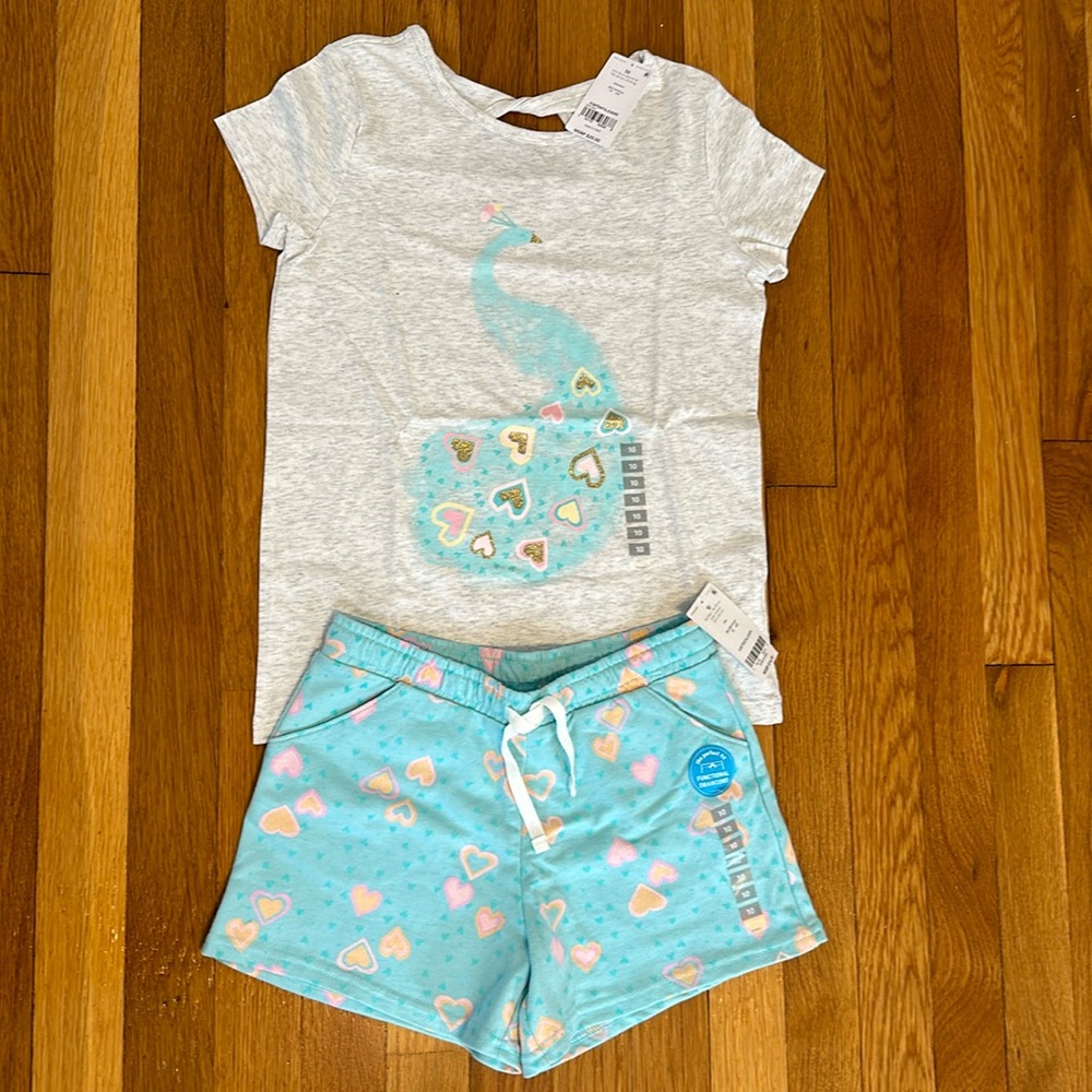 Girl’s Carter’s Shorts and shirt set Size 10, NWT